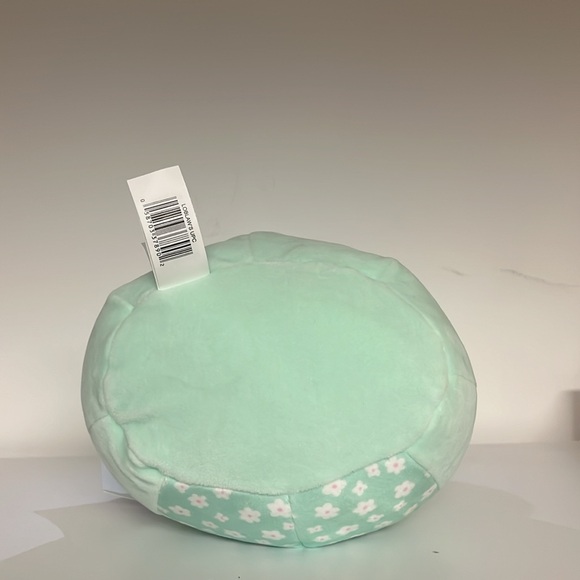 Fritz the frog squishmallow sensory plushie stuffie plush toy - Picture 5 of 5